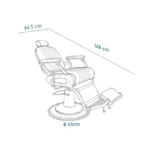 Barberstoel Dapper Green